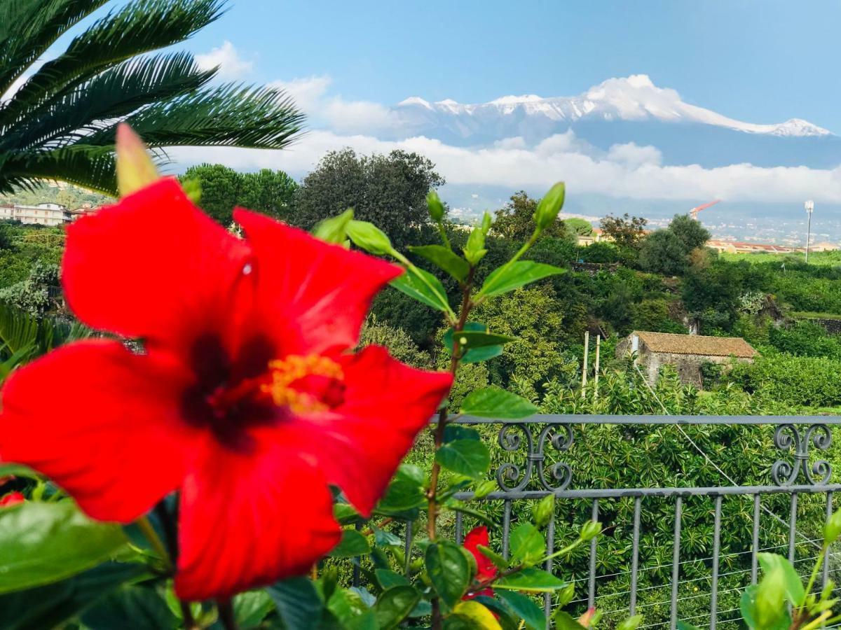 Palazzo Giovanni Bed And Breakfast Acireale Exterior foto